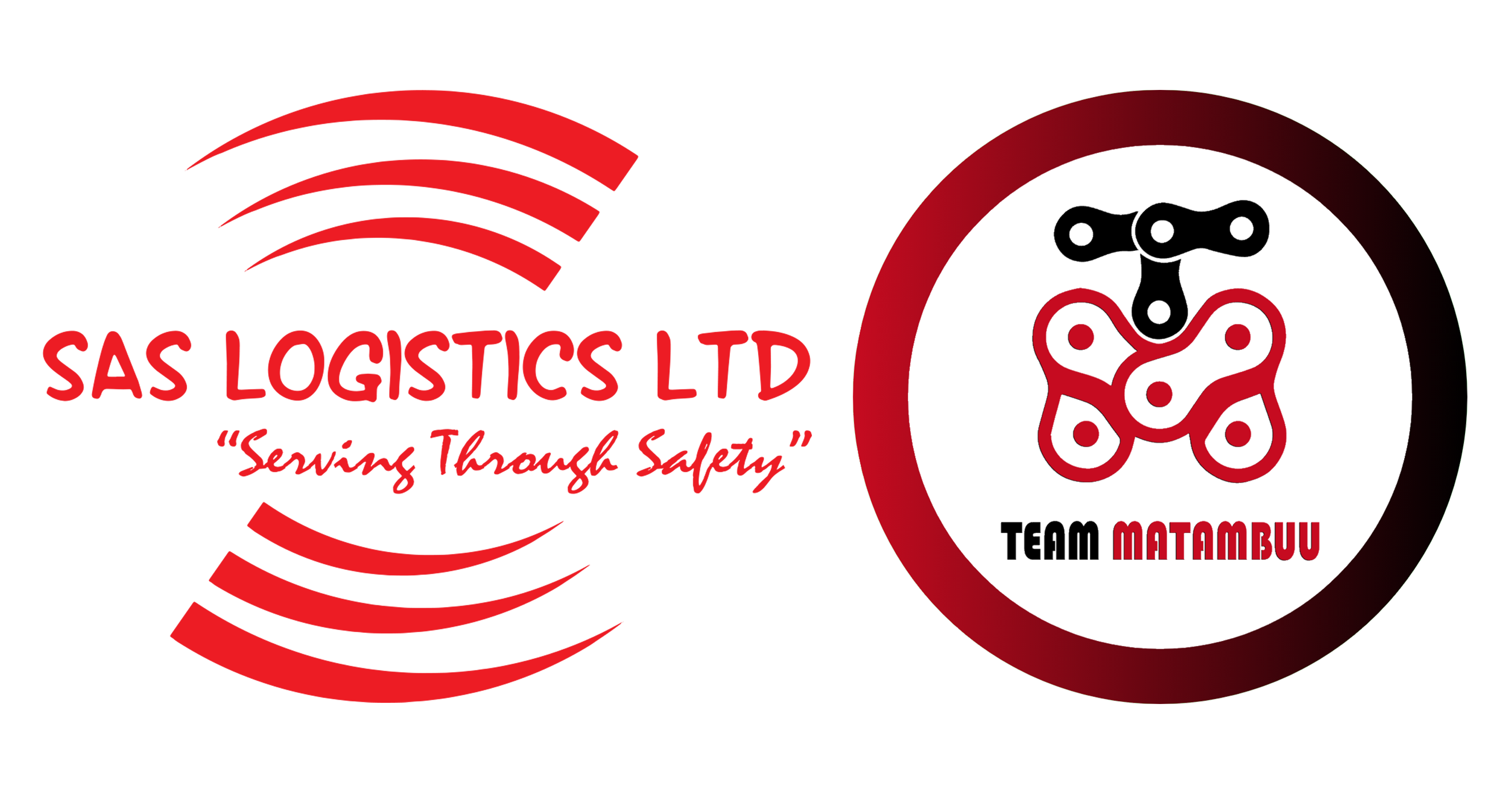 SAS LOGO 2